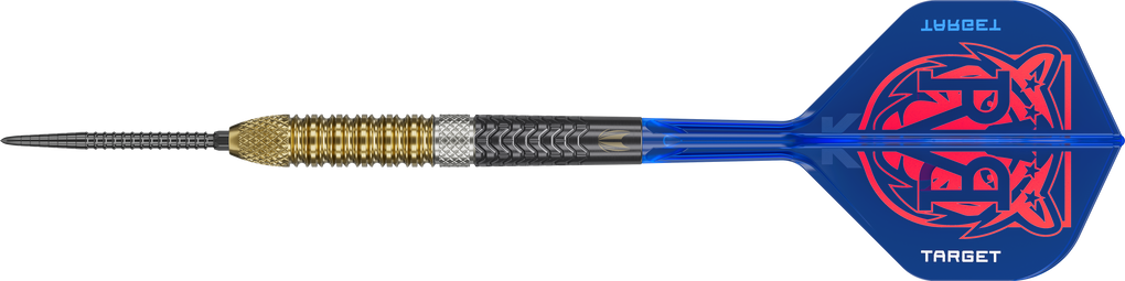 Terčové ocelové šipky Raymond Van Barneveld GEN6 Swiss Point
