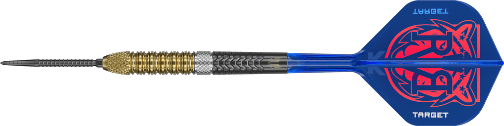 Terčové ocelové šipky Raymond Van Barneveld GEN6 Swiss Point