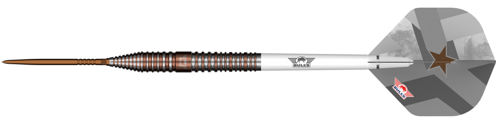 Šipky Bulls NL Max Hopp E5 Convertible Point Steel Darts