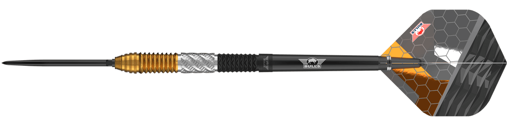 Bulls NL Dirk Van Duijvenbode 95% konvertibilní body Steeldarts