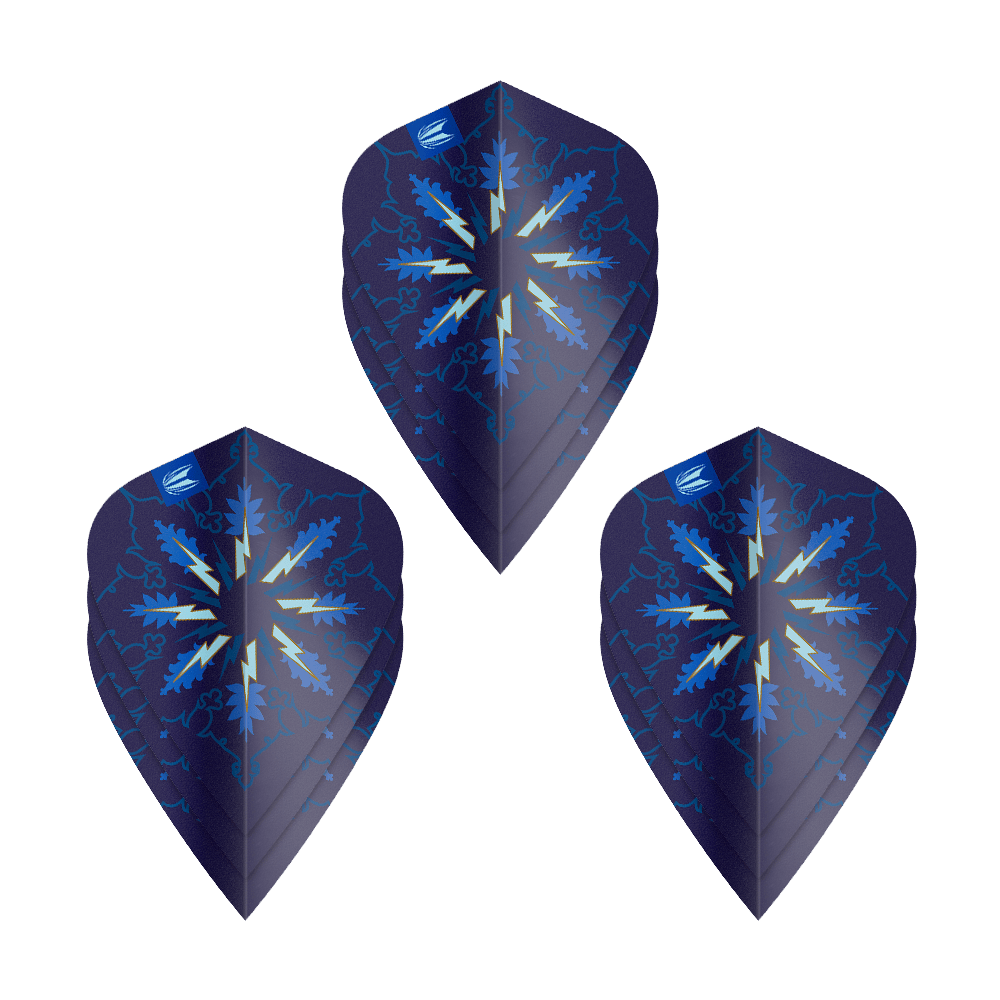 Abgebildet sind Target ProUltra Phil Taylor Power Gx2 Kite Flights - 3 Sets. Diese Flights werden für Dartpfeile verwendet.
