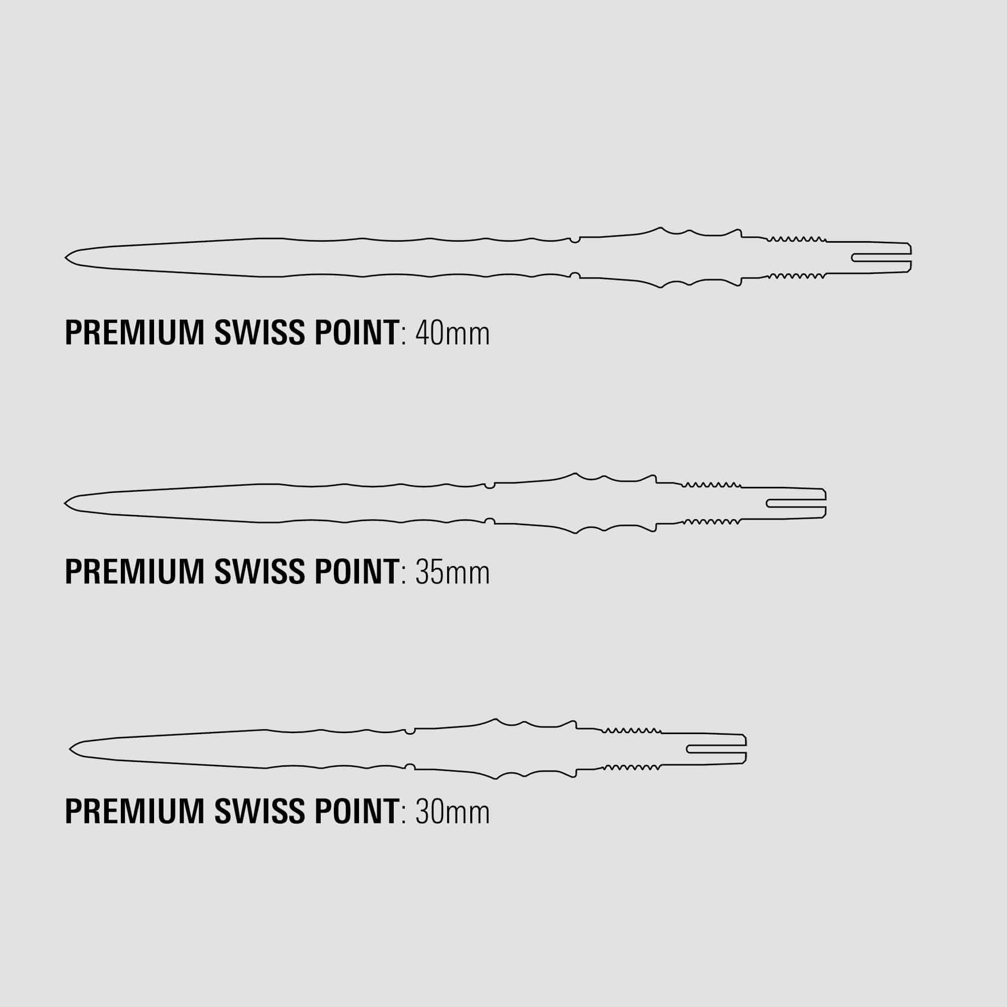 Špičky na šipky Target Japan Premium Swiss Point - stříbrné Die Abbildung zeigt die Target Japan Premium Swiss Point Dartspitzen in Silber. Die Spitzen sind speziell für professionelle Dartspiele hergestellt.