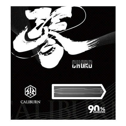 Ocelové šipky Caliburn Chord C2 - 23,5 g Zu sehen ist der Caliburn Chord C2 Steeldart mit 23,5g Gewicht. Das Bild zeigt den Pfeil aus einer anderen Perspektive für eine bessere Ansicht.