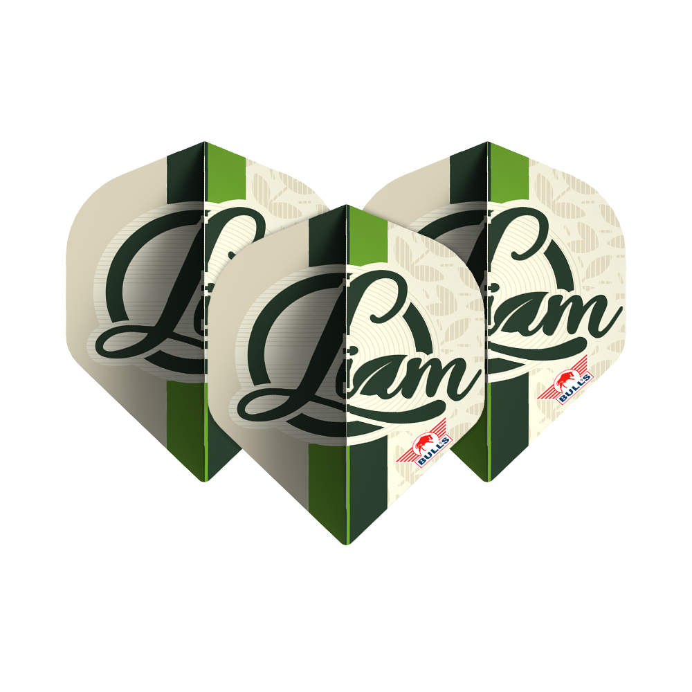 Das Bild zeigt drei Dart-Flights mit dem Namen "Liam" in grüner Schrift darauf. Unten rechts befindet sich das rote Bulls NL Logo.