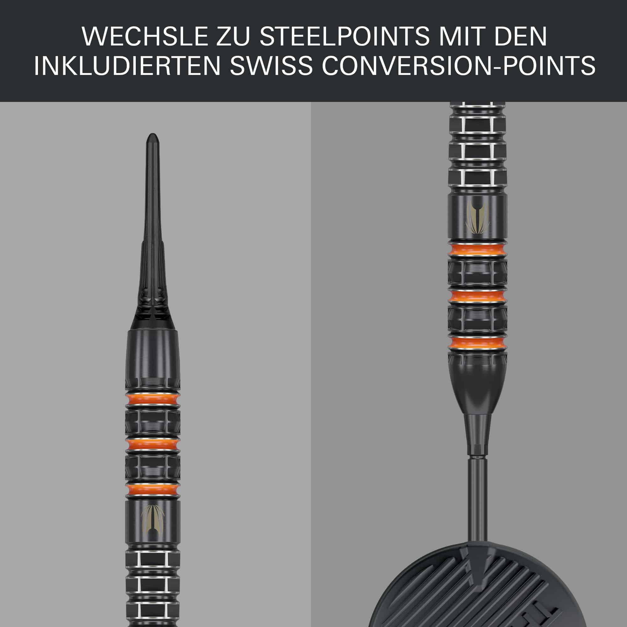 Terč Raymond Van Barneveld 95K měkké šipky - 20g Terč Raymond Van Barneveld 95K měkké šipky - 20g