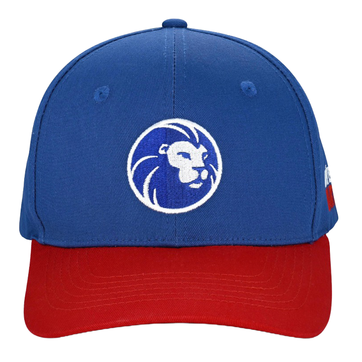 Čepice z kolekce Lion Gezeigt wird eine Cap aus der Löwen Kollektion. Sie ist perfekt für Fans des Dartspiels geeignet.
