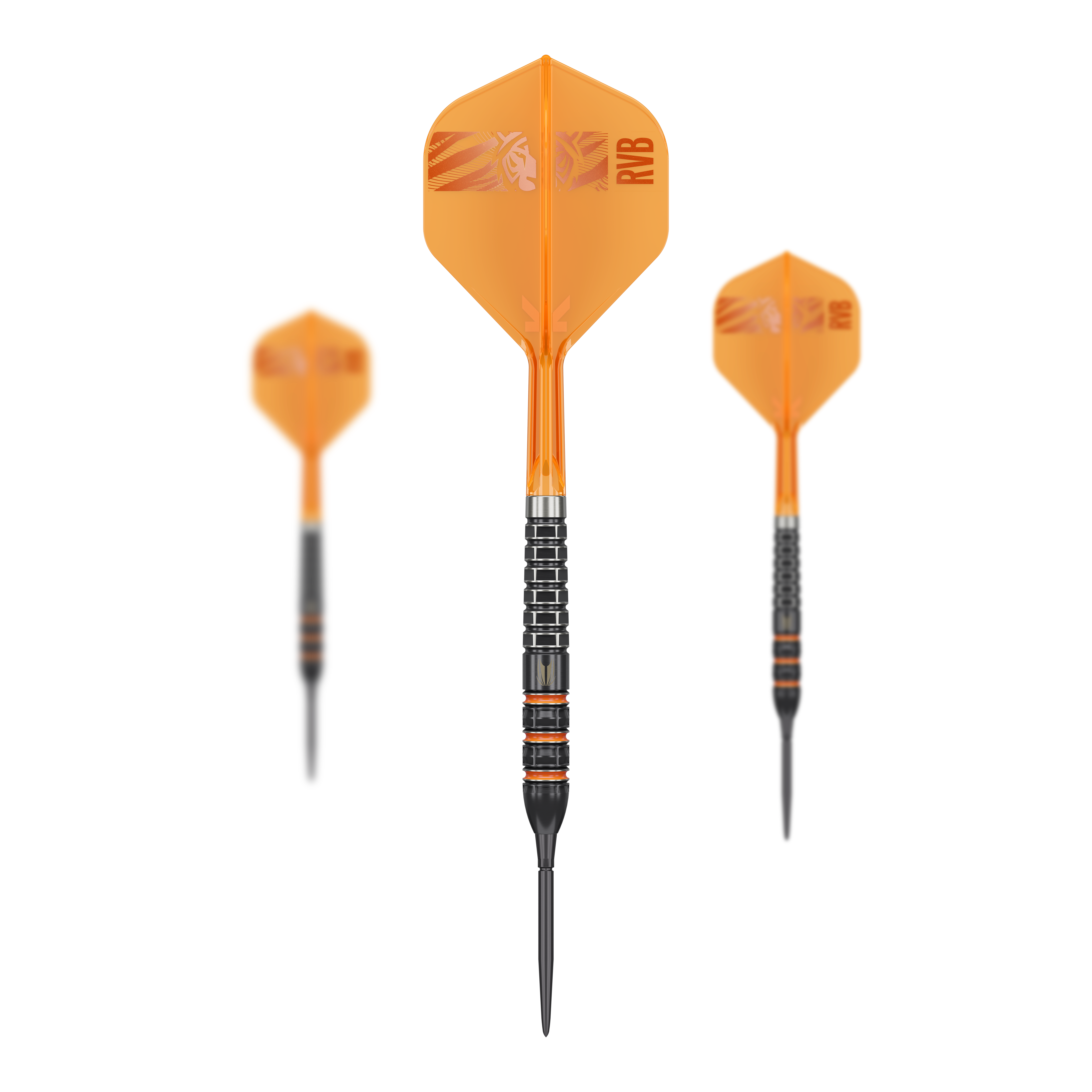Target Raymond Van Barneveld 95 000 švýcarských bodů Steeldarts