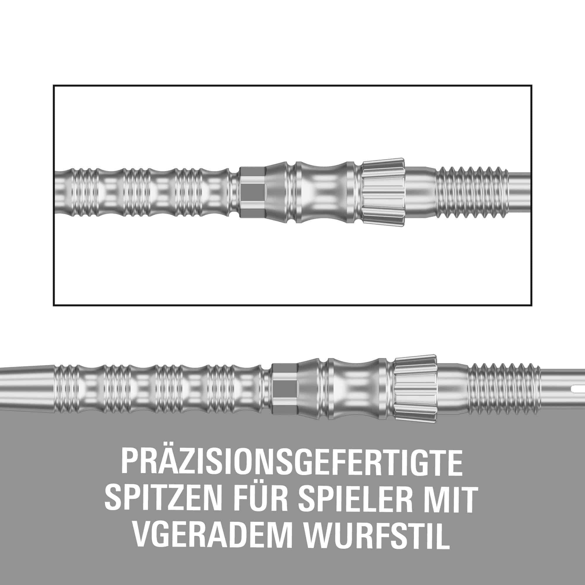 Hier ist die Target Signature Swiss Point TRB Steeldartspitzen in Silber zu sehen. Die Dartspitzen sind für maximale Kontrolle und Haltbarkeit entwickelt.