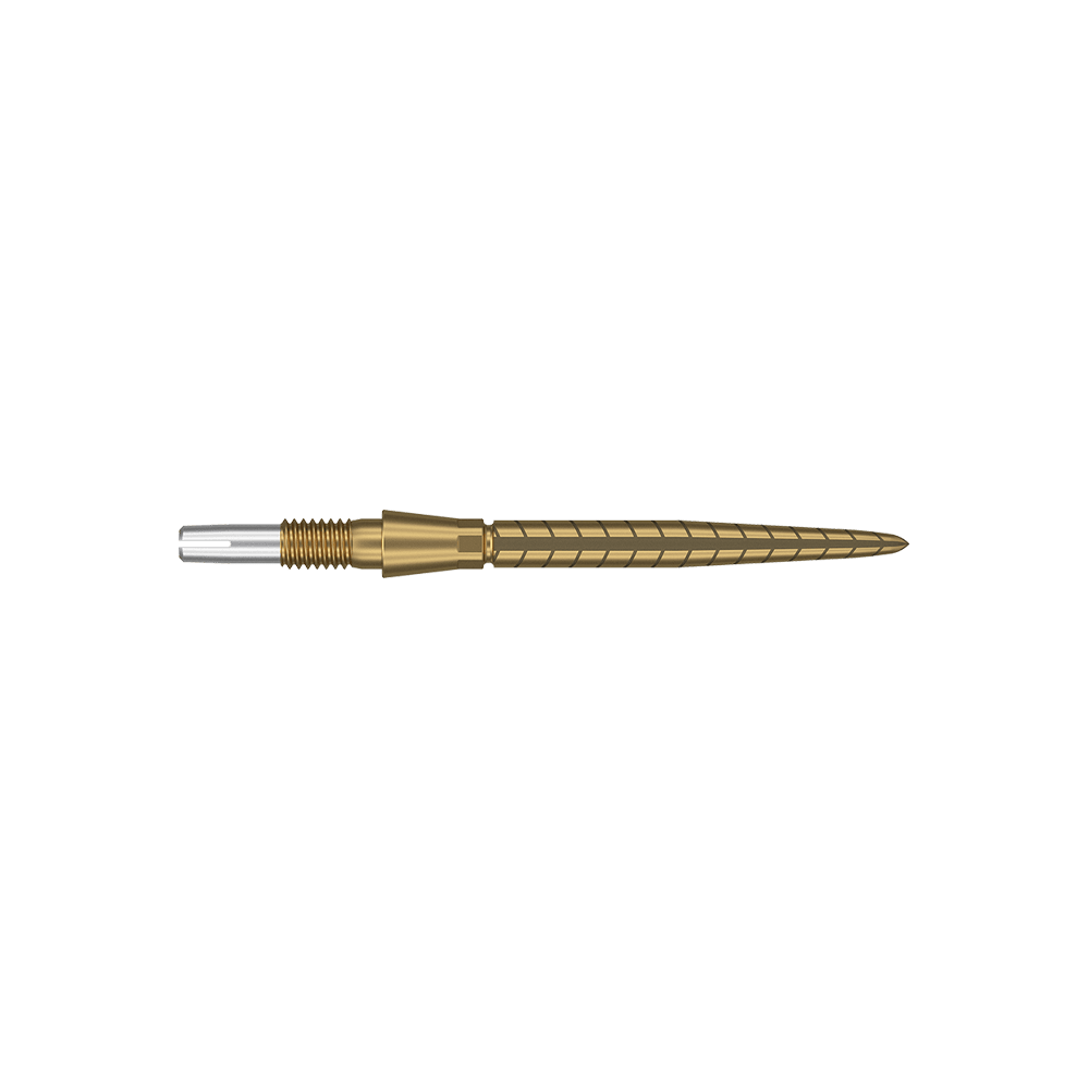 Špičky na šipky Target Swiss Storm Quartz - zlaté Dies ist eine goldfarbene Dartspitze mit feinen Rillen und Linien. Sie hat ein schlankes, präzises Design und eine silberne Spitze am Ende.