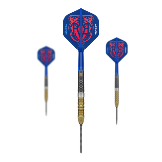 Terčové ocelové šipky Raymond Van Barneveld GEN6 Swiss Point Zu sehen sind die Target Raymond Van Barneveld GEN6 Swiss Point Steeldarts. Diese Darts sind speziell für professionelle Ansprüche gefertigt.