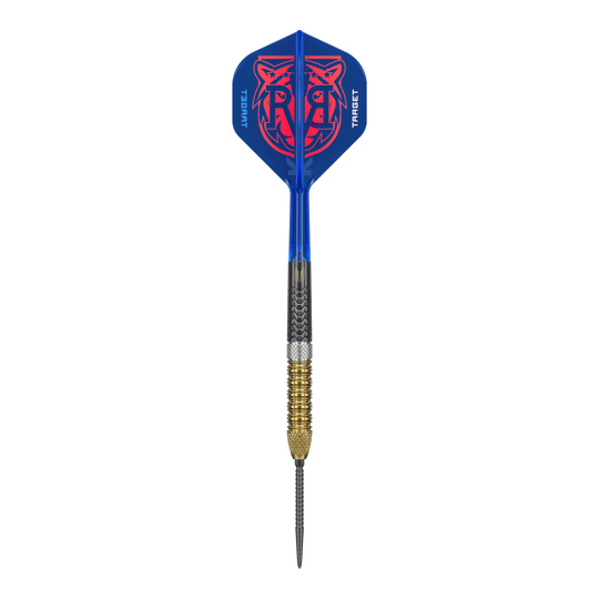 Terčové ocelové šipky Raymond Van Barneveld GEN6 Swiss Point Abgebildet sind die Target Raymond Van Barneveld GEN6 Swiss Point Steeldarts. Diese Steeldarts bieten erstklassige Qualität und Präzision.