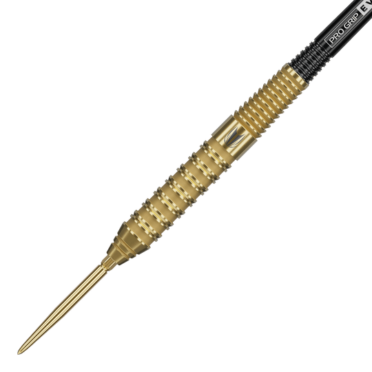 Ocelové šipky Target Bolide Envy 02 Swiss Point Zu sehen sind Target Bolide Envy 02 Swiss Point Steeldarts. Sie bieten eine elegante Gestaltung und gute Griffigkeit.