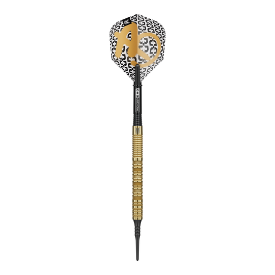 Target Bolide Envy 10 měkkých šipek Zu sehen ist das Produkt Target Bolide Envy 10 Softdarts. Diese Darts sind ideal für Softdart-Spieler geeignet.