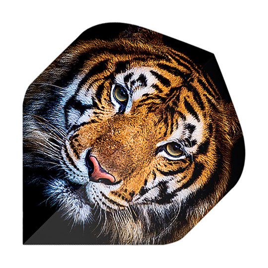Lety do pětiboje Tiger Das Bild zeigt einen Dartflug mit dem Motiv eines realistisch gezeichneten Tigerkopfes. Es handelt sich um das Produkt "Pentathlon Tiger No2 Standard Flights".