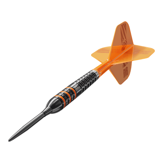 Target Raymond Van Barneveld 95 000 švýcarských bodů Steeldarts Target Raymond Van Barneveld 95 000 švýcarských bodů Steeldarts
