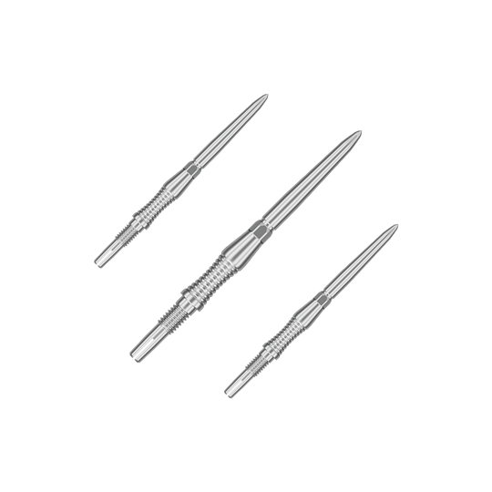 Das Bild zeigt ein Produkt mit dem Dateinamen 340300_Target_Swiss_Point_Dartspitzen_Signature_RST_Silber_30mm_1Set. Es scheint sich um ein Set silberner Dartspitzen mit 30 mm Länge zu handeln.