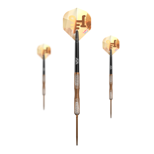 Šipky Bulls NL Bronzo True Convertible Point Steel Darts Šipky Bulls NL Bronzo True Convertible Point Steel Darts