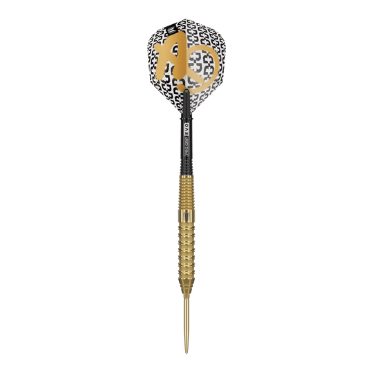 Target Bolide Envy 02 Swiss Point Steeldarts sind professionelle Steeldarts. Das Bild zeigt das Design und die Details dieses Dart-Produkts.