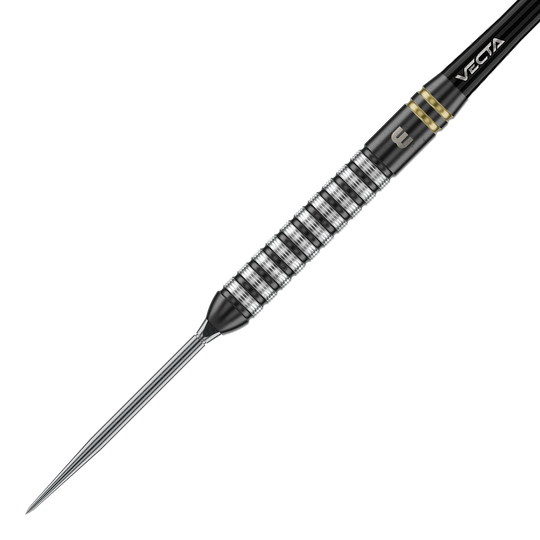 Ocelové šipky Winmau Gian Van Veen TS Switch Point Das Foto zeigt Winmau Gian Van Veen TS Switch Point Steeldarts. Der Dartpfeil ist detailliert abgebildet.
