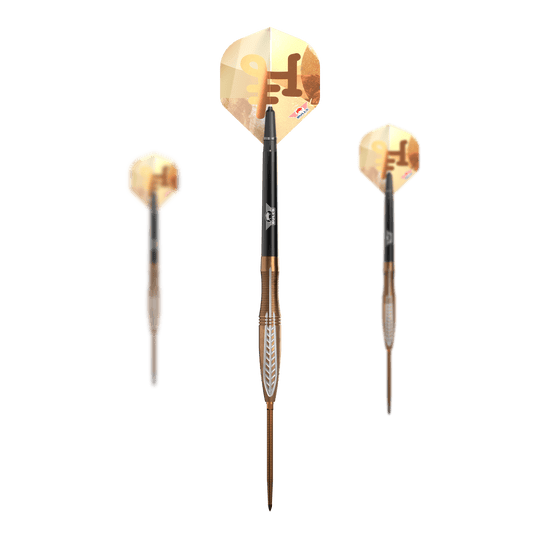 Šipky Bulls NL Bronzo Flux Convertible Point Steel Darts
