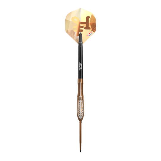 Šipky Bulls NL Bronzo Nova Convertible Point Steel Darts Šipky Bulls NL Bronzo Nova Convertible Point Steel Darts