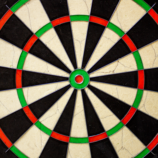NPQ Steeldartboard NPQ Steeldartboard wird frontal gezeigt. Die Segmentierung ist scharf abgebildet.