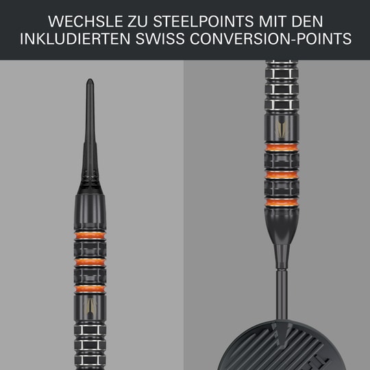 Terč Raymond Van Barneveld 95K měkké šipky - 20g