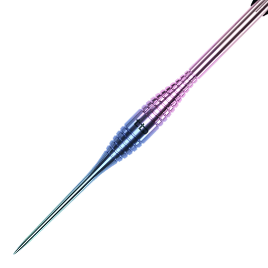 Hier sind die Caliburn TTD Complete Titanium T2 Rainbow Steeldarts - 6g abgebildet. Die Dartpfeile zeichnen sich durch ihre besondere Farbgebung und ihr leichtes Gewicht aus.