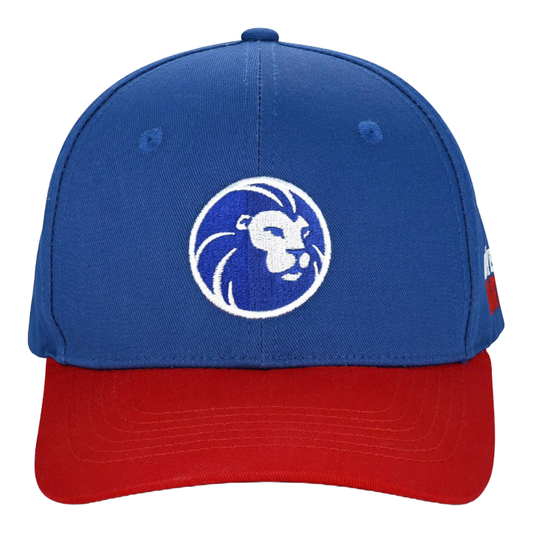 Čepice z kolekce Lion Gezeigt wird eine Cap aus der Löwen Kollektion. Sie ist perfekt für Fans des Dartspiels geeignet.