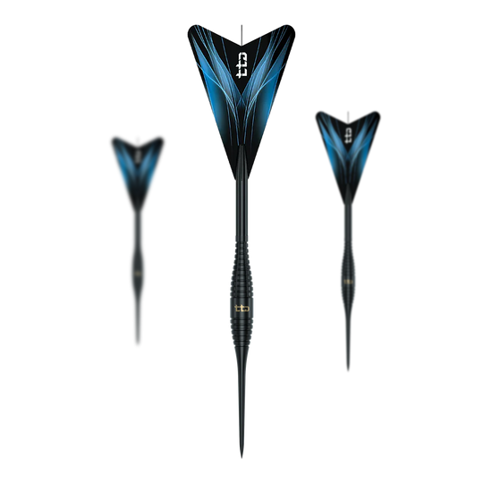 Caliburn TTD Complete Titanium T2 Black Steeldarts - 6g Dies ist ein Set Caliburn TTD Complete Titanium T2 Black Steeldarts mit einem Gewicht von 6g. Das Produkt ist für das Dartspiel geeignet.