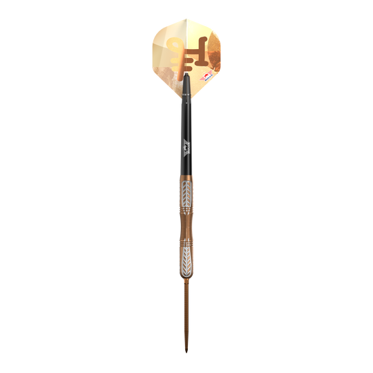Šipky Bulls NL Bronzo True Convertible Point Steel Darts Šipky Bulls NL Bronzo True Convertible Point Steel Darts