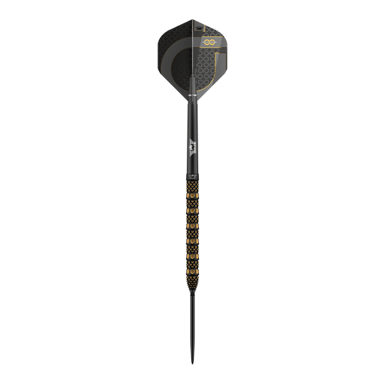 Šipky Bulls NL Advantage 95 Rail Convertible Point Steel Darts