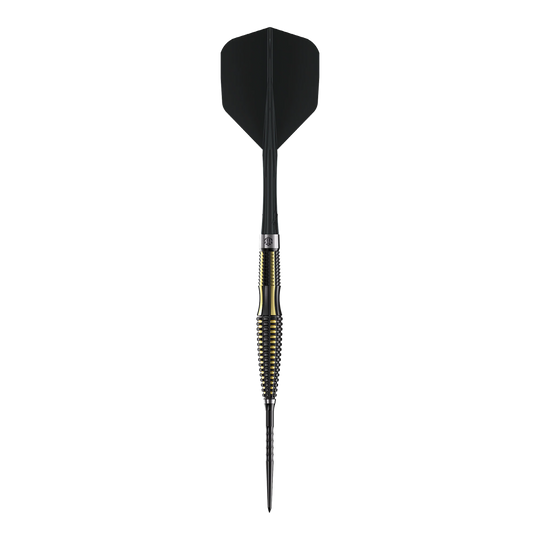Ocelové šipky Caliburn V-Series V1 Das Bild zeigt die Caliburn V-Series V1 Steeldarts. Diese Darts sind ideal für anspruchsvolle Spieler geeignet.