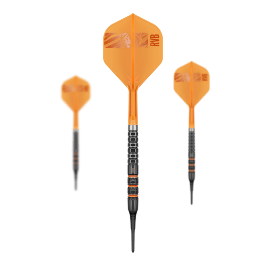 Terč Raymond Van Barneveld 95K měkké šipky - 20g