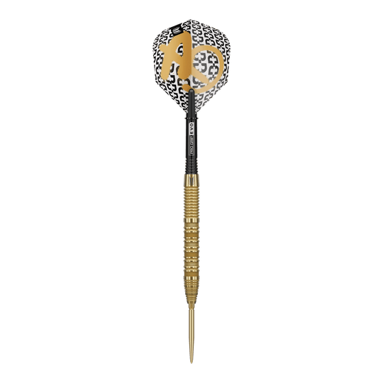 Ocelové šipky Target Bolide Envy 01 Swiss Point Das Bild zeigt die Target Bolide Envy 01 Swiss Point Steeldarts. Diese Darts sind für anspruchsvolle Dartspieler geeignet.