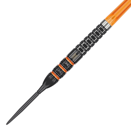 Target Raymond Van Barneveld 95 000 švýcarských bodů Steeldarts Target Raymond Van Barneveld 95 000 švýcarských bodů Steeldarts