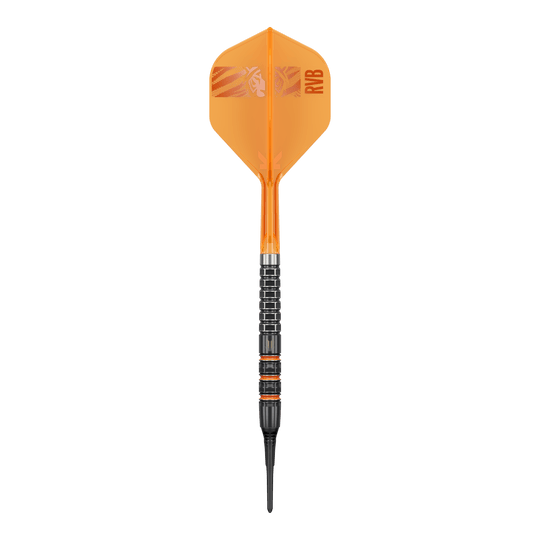 Terč Raymond Van Barneveld 95K měkké šipky - 20g Terč Raymond Van Barneveld 95K měkké šipky - 20g