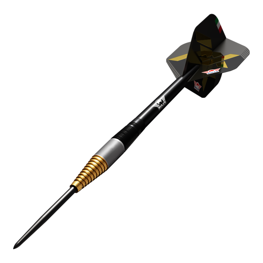 Das Bild zeigt einen Bulls NL Massimo Dalla Rosa Steeldart mit einem Gewicht von 20 Gramm. Der Dartpfeil hat ein elegantes Design mit goldenen und silbernen Ringen am Barrel sowie einer schwarzen Flights.