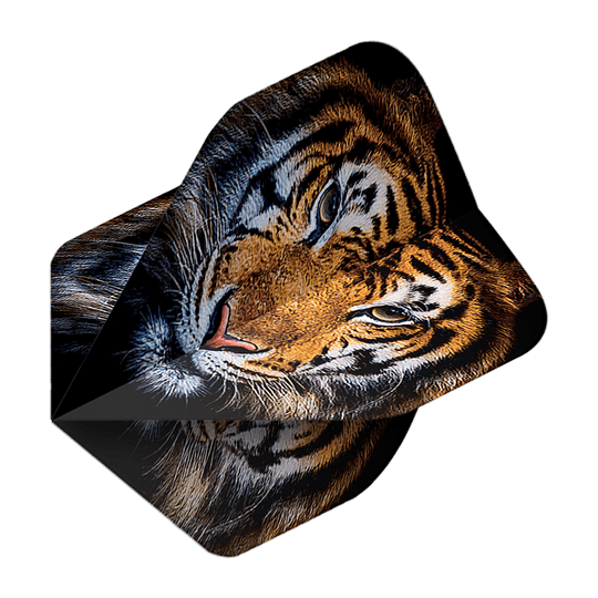 Lety do pětiboje Tiger Das Bild zeigt das Produkt "Pentathlon Tiger No2 Standard Flights". Auf den Flights ist ein realistisches Tigerkopf-Motiv abgebildet.