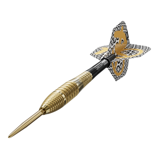 Das Foto präsentiert die Target Bolide Envy 05 Swiss Point Steeldarts. Die Dartpfeile sind aus der Nähe fotografiert und wirken hochwertig verarbeitet.