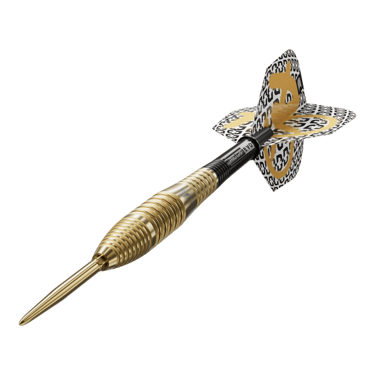 Ocelové šipky Target Bolide Envy 05 Swiss Point Das Foto präsentiert die Target Bolide Envy 05 Swiss Point Steeldarts. Die Dartpfeile sind aus der Nähe fotografiert und wirken hochwertig verarbeitet.