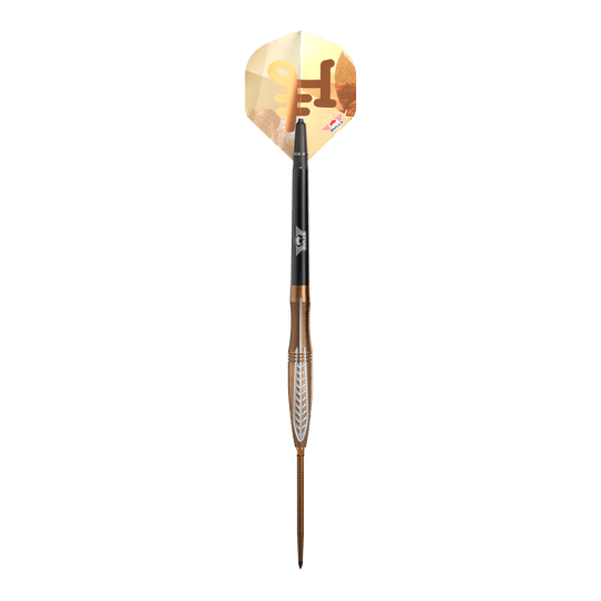 Šipky Bulls NL Bronzo Flux Convertible Point Steel Darts