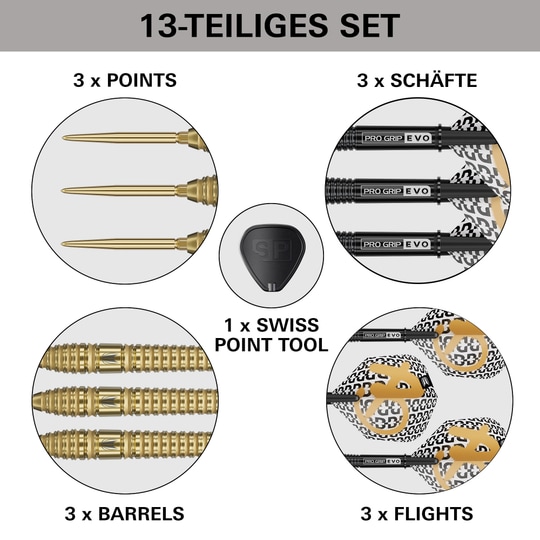 Target Bolide Envy 03 Swiss Point Steeldarts, abgebildet auf dem Produktbild. Es handelt sich um Steeldarts mit Swiss Point System.